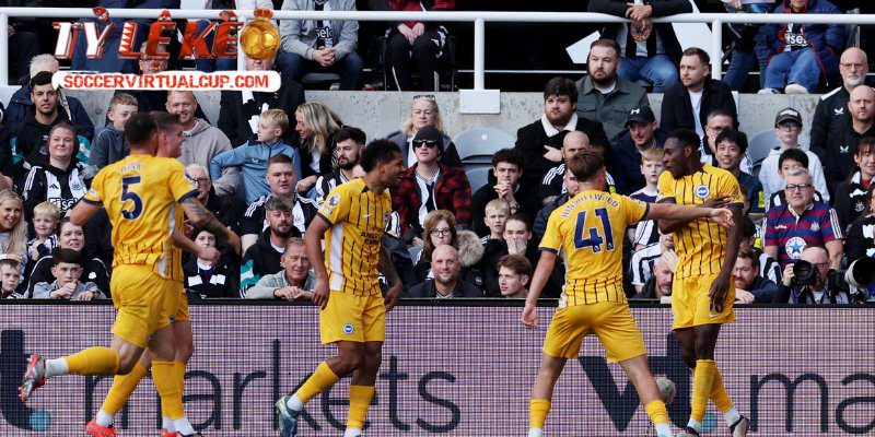 Dự đoán kết quả Brighton & Hove Albion vs Newcastle United từ phong độ