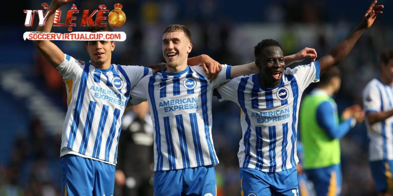 Soi kèo Wolverhampton Wanderers vs Brighton & Hove Albion từ quá khứ
